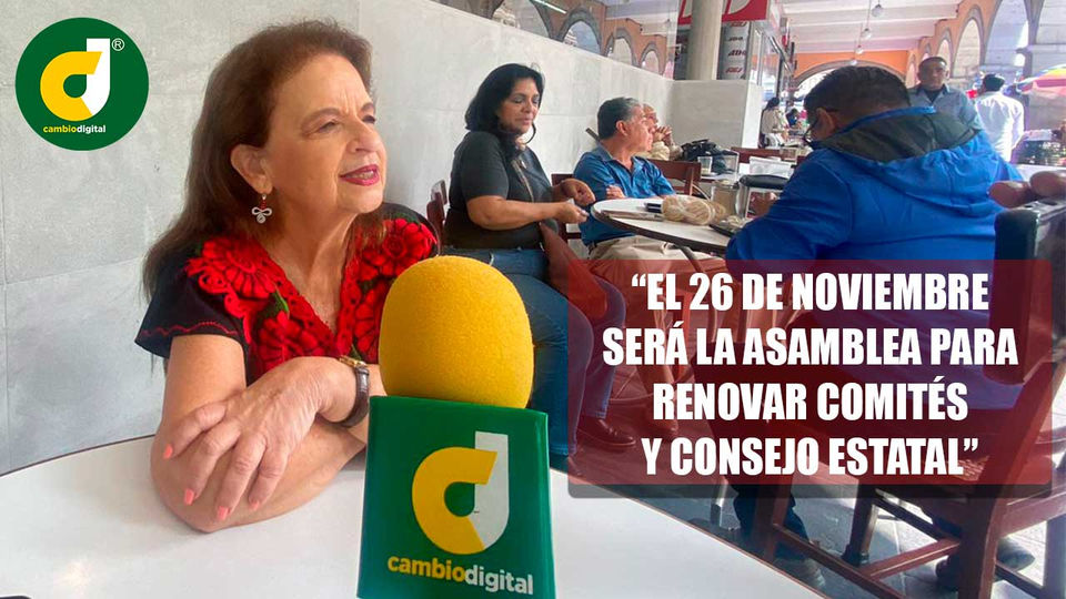 Renovarán comités de Morena en Veracruz; funcionarios no pueden dobletear cargos
